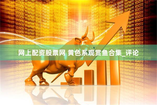 网上配资股票网 黄色系观赏鱼合集_评论