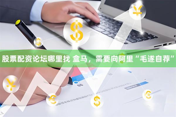 股票配资论坛哪里找 盒马，需要向阿里“毛遂自荐”
