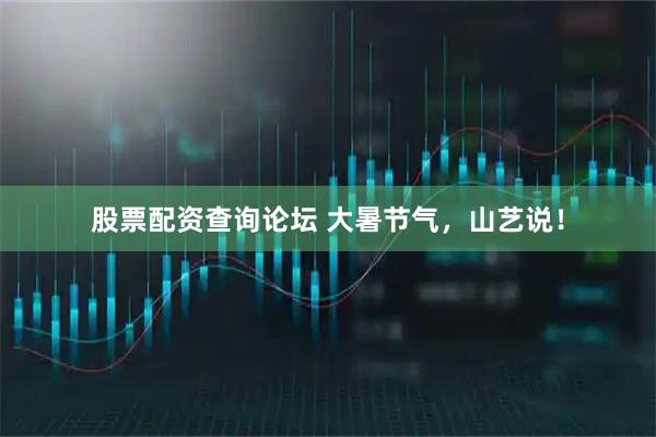股票配资查询论坛 大暑节气，山艺说！